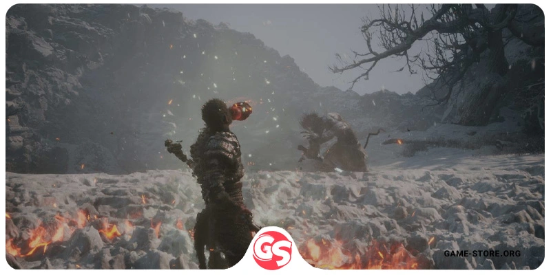 قیمت اکانت قانونی بازی Black Myth: Wukong برای PS5